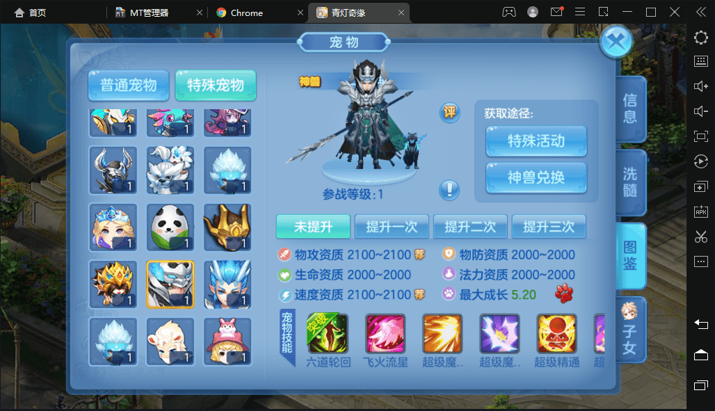 【星辰奇缘】最新青灯奇缘修复版+VM一键端+Linux学习手工端+本地注册+全新坐骑宠物+视频教程+授权物品后台+西西亲测 手游源码 第14张-西西源码屋