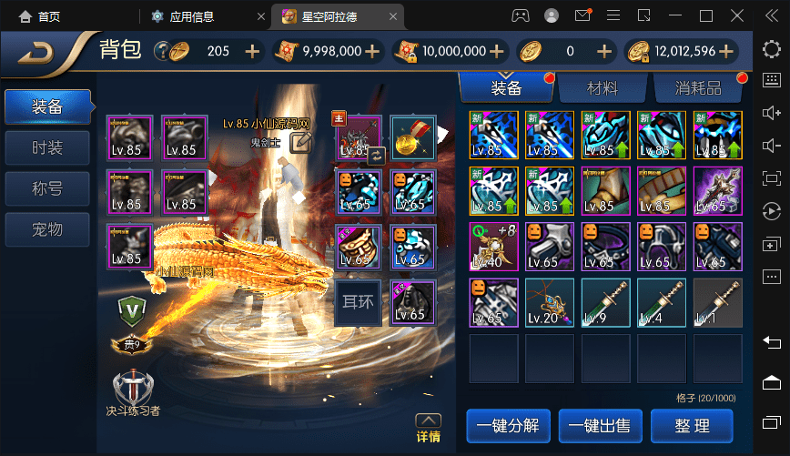 【啊拉德之星空龙环版】横版闯关手游+VM一键端+Linux学习手工服务端+语音视频教程+运营后台+GM授权物品后台+西西亲测 手游源码 第3张-西西源码屋